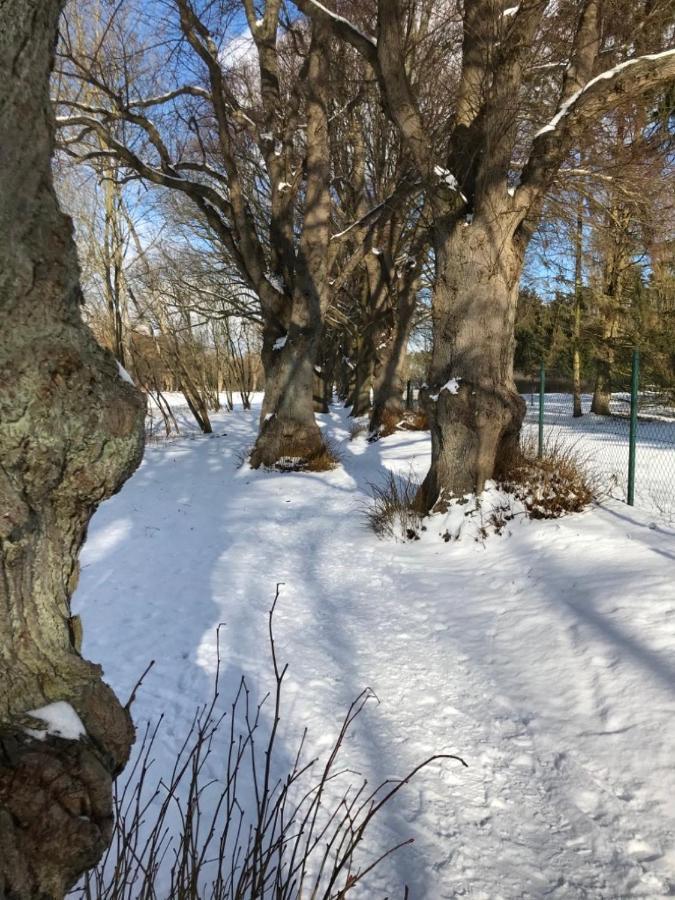 Seeblick Warin Zewnętrze zdjęcie